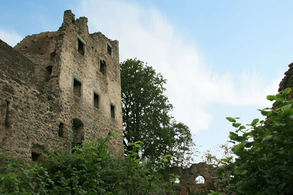 Ruine Altbodman (Bodman, Alt-Bodman) im Landkreis Konstanz