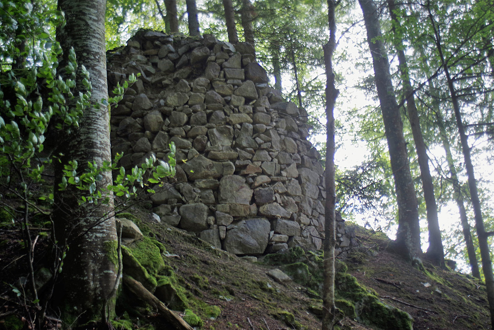 Burg Mandach (Burg Weiler) im Landkreis Waldshut