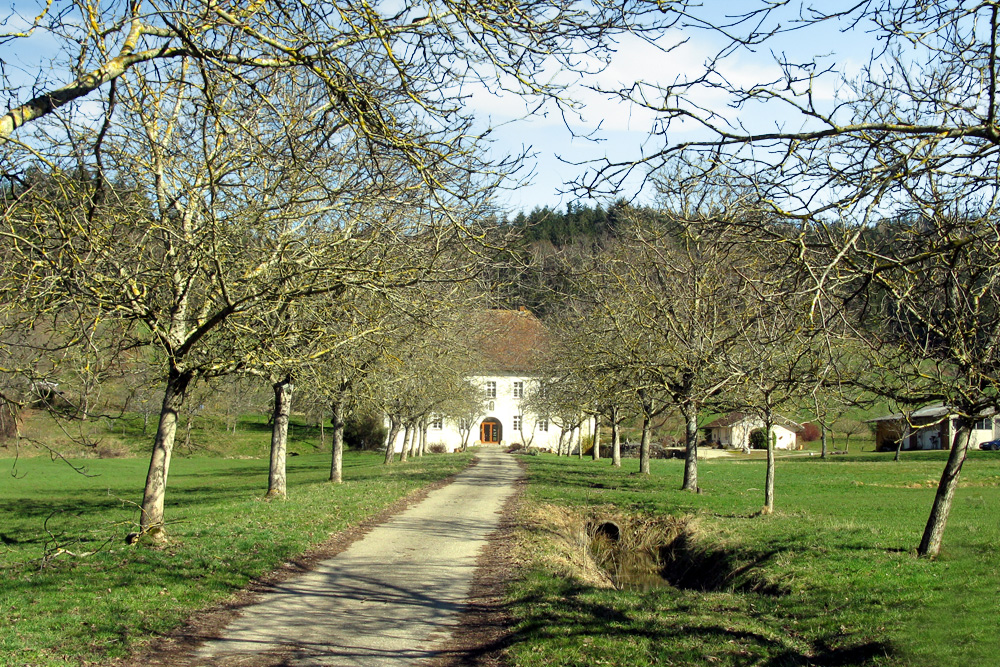 Schloss Birkenreute (Bickenreute) im Landkreis Breisgau-Hochschwarzwald