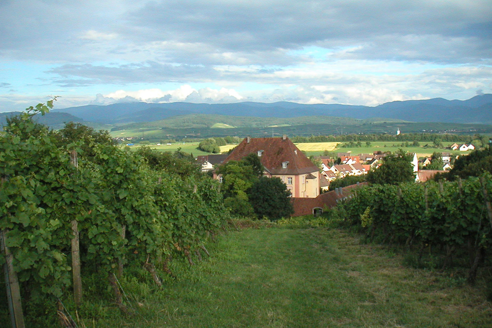 Schloss Munzingen (Kageneck-Schloss) im Landkreis Breisgau-Hochschwarzwald