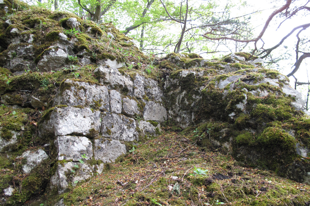 Burg Altwildenstein (Vorderwildenstein) im Landkreis Sigmaringen