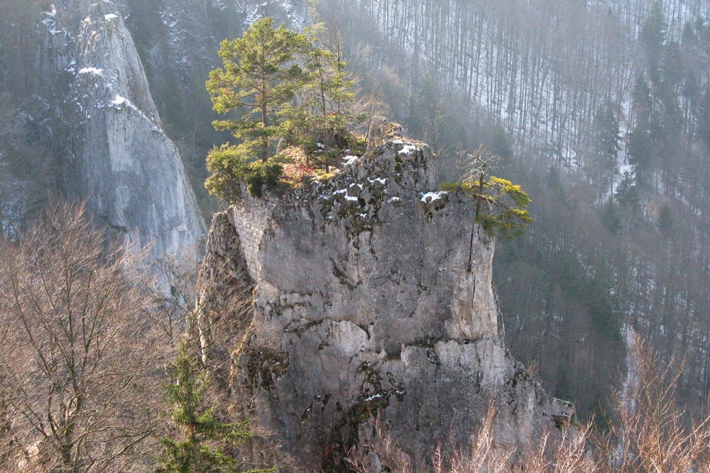 Wildensteiner Burg Hexenturm (Obere und Untere Burg) im Landkreis Sigmaringen