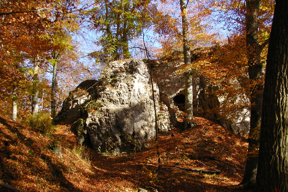 Ruine Günzelburg (Greifenburg, Gryffenburg, Denzelburg) im Alb-Donau-Kreis