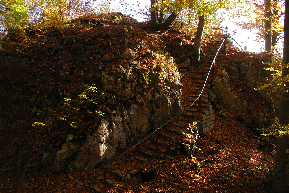 Ruine Günzelburg (Greifenburg, Gryffenburg, Denzelburg) im Alb-Donau-Kreis