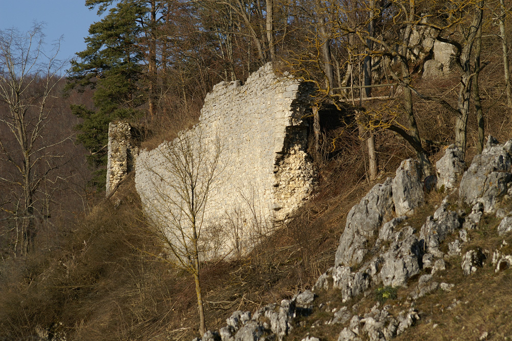 Burg Hohenschelklingen (Burg Hohen Schelklingen) im Alb-Donau-Kreis