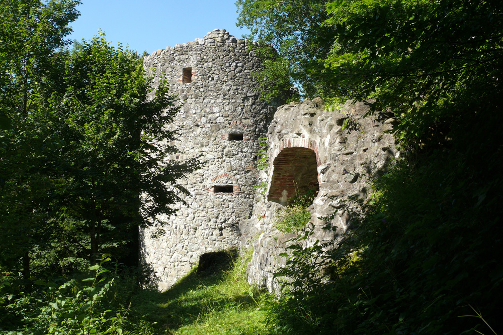 Ruine Ratzenried (Alt-Ratzenried, Oberes Schloss) im Landkreis Ravensburg