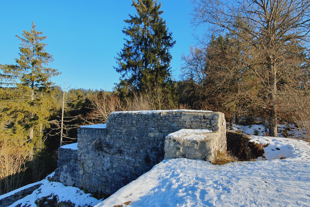 Ruine Baldenstein (Altes Schloss) im Landkreis Sigmaringen