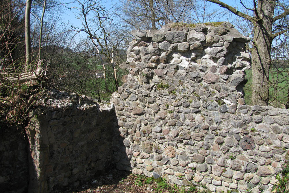 Ruine Ebersberg im Bodenseekreis