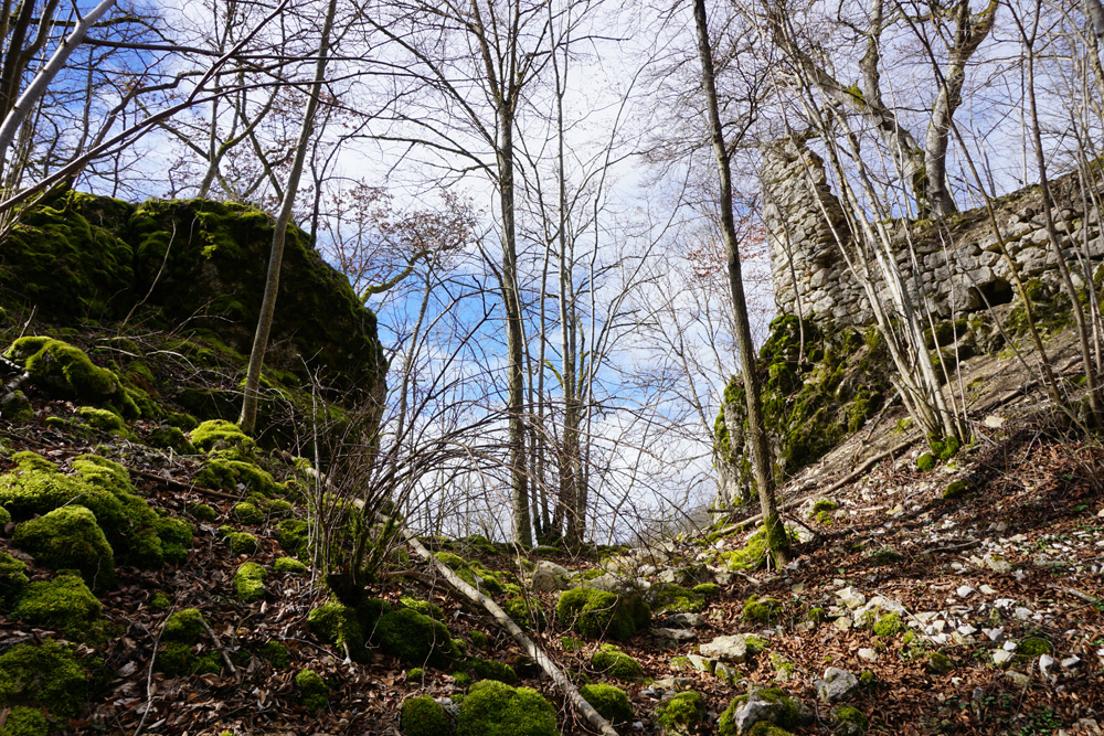 Ruine Monsberg (Burg des Munt) im Alb-Donau-Kreis