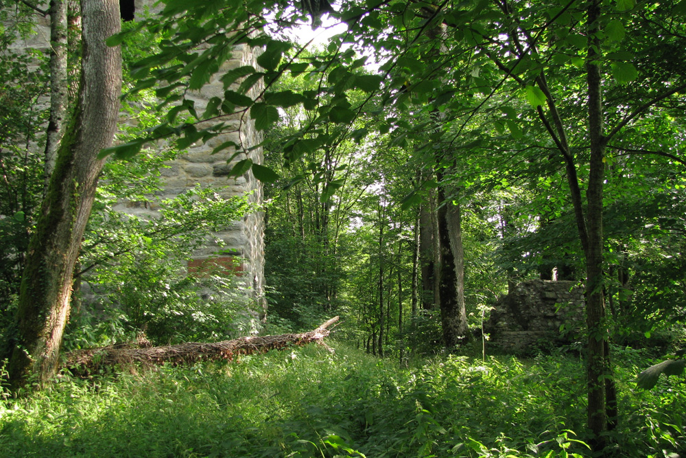 Ruine Praßberg im Landkreis Ravensburg