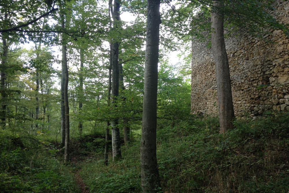 Burg Hölnstein (Ruine Stetten, Ruine Holstein) im Zollernalbkreis
