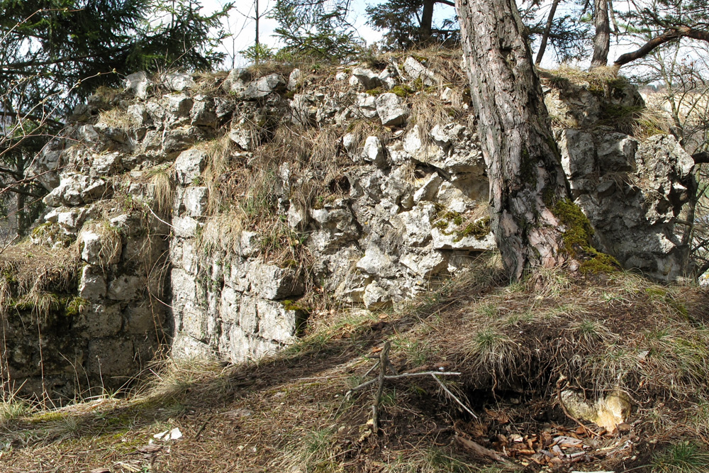 Schalksburg (Oitringen) im Zollernalbkreis