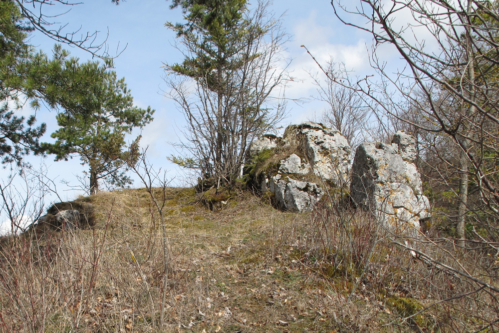 Schalksburg (Oitringen) im Zollernalbkreis