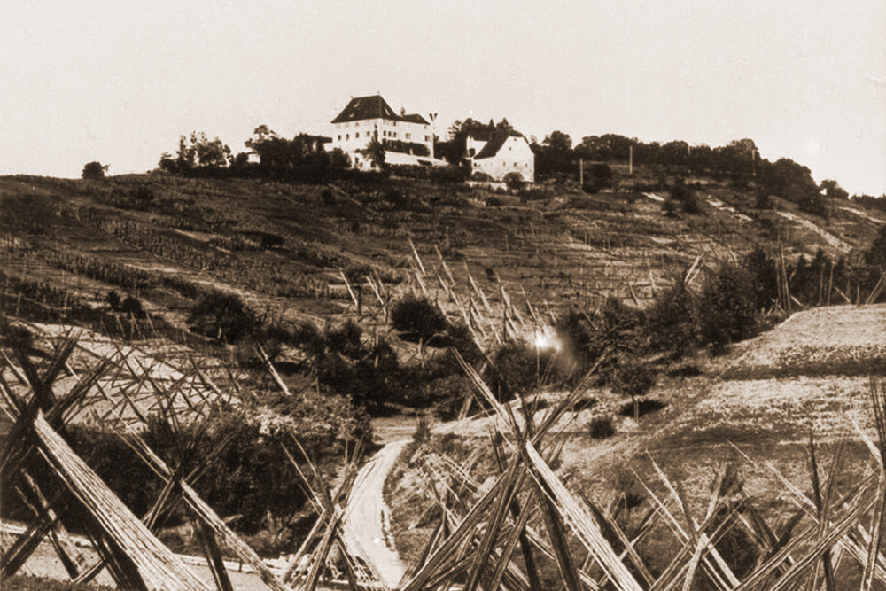 Schloss Roseck im Landkreis Tübingen
