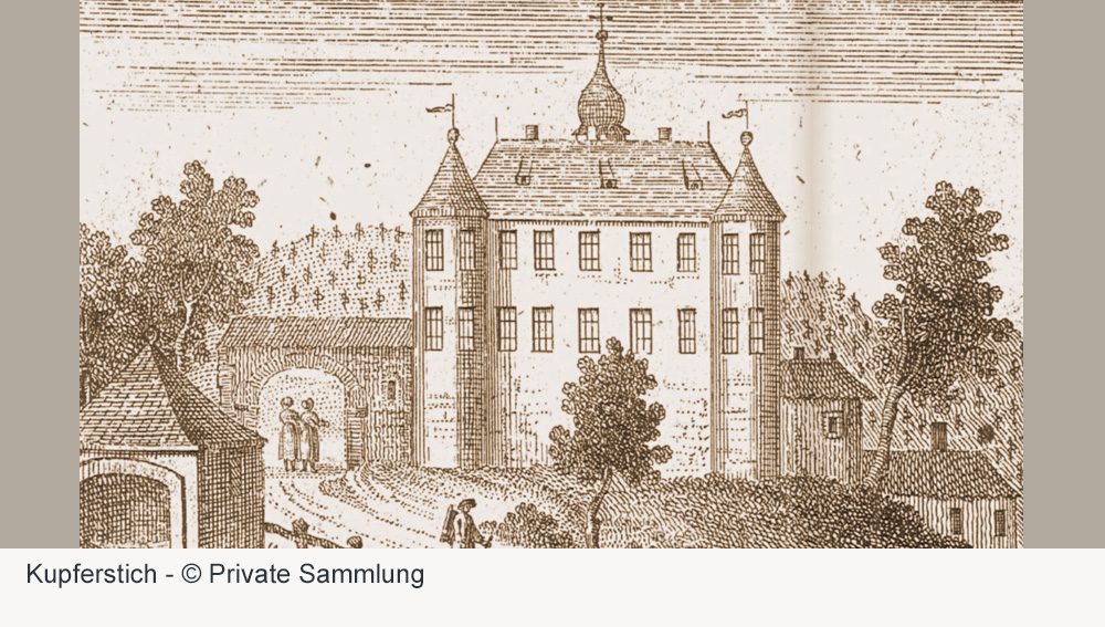 Schloss Liebenau im Bodenseekreis