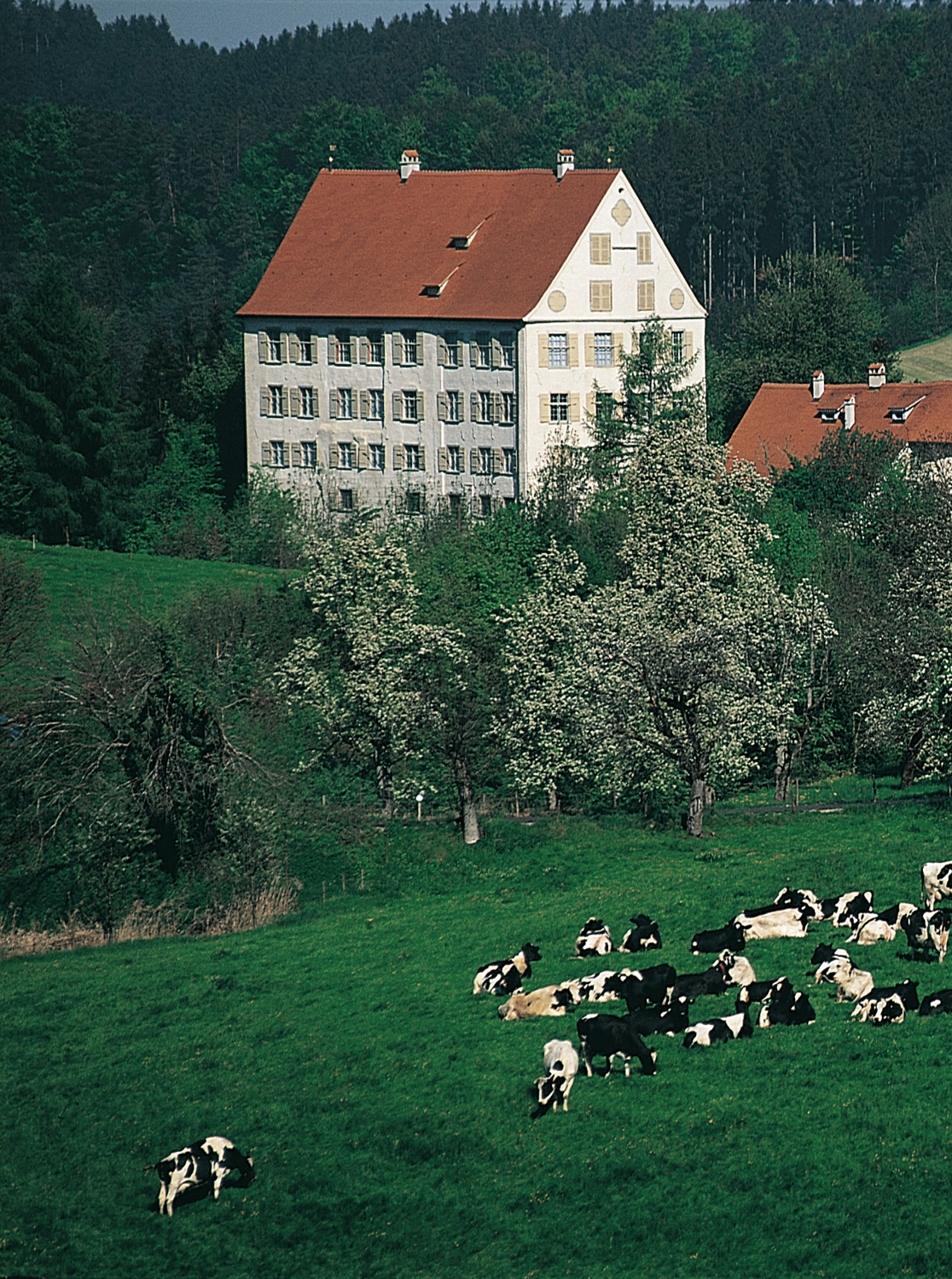 Schloss Achberg im Landkreis Ravensburg