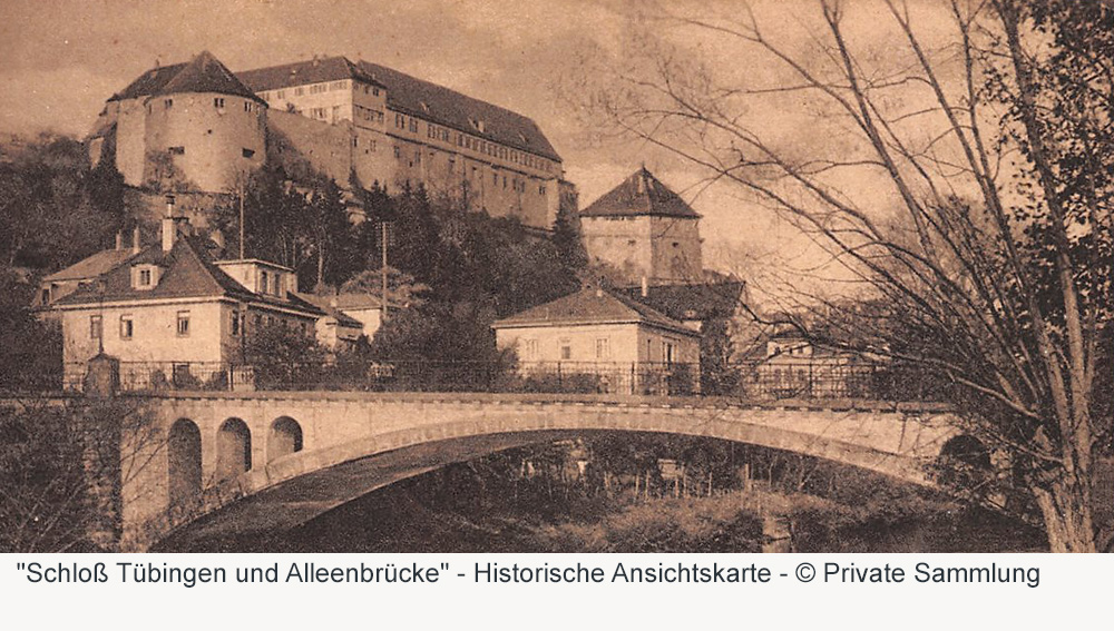 Schloss Hohentübingen im Landkreis Tübingen