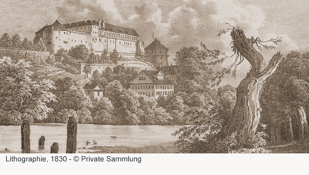Schloss Hohentübingen im Landkreis Tübingen