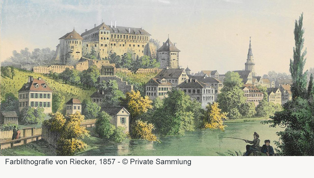 Schloss Hohentübingen im Landkreis Tübingen