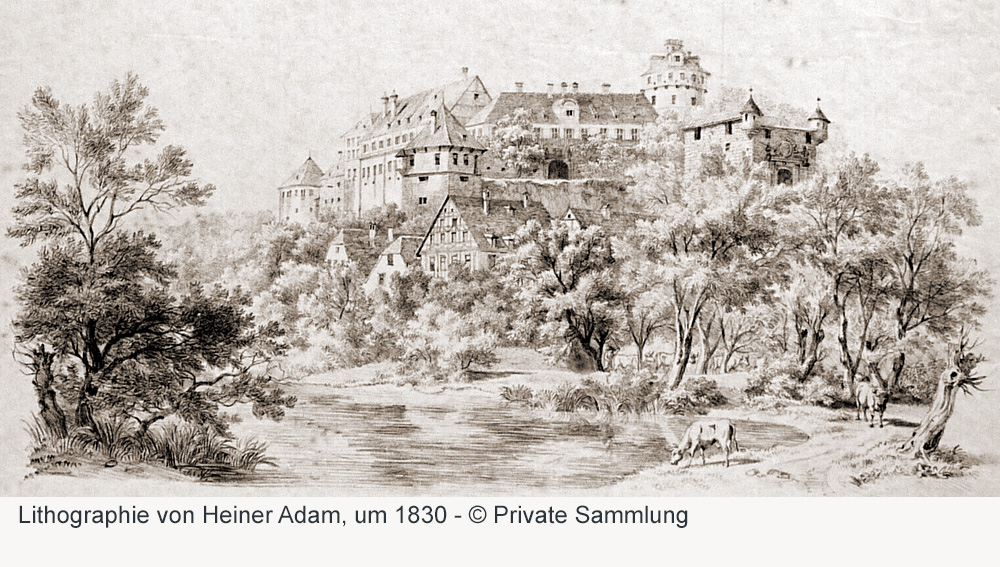 Schloss Hohentübingen im Landkreis Tübingen