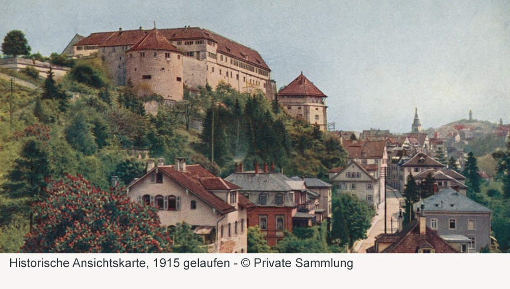 Schloss Hohentübingen im Landkreis Tübingen