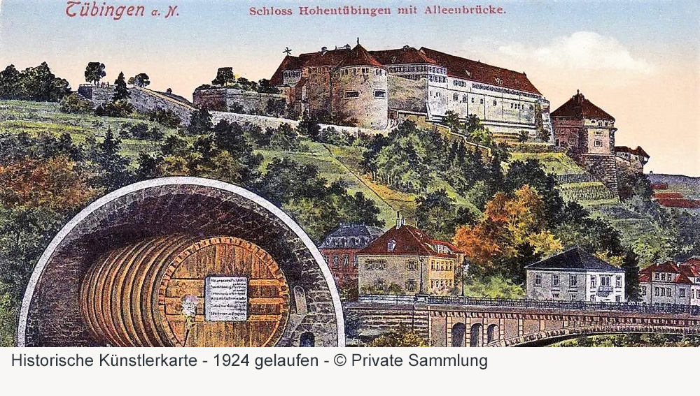 Schloss Hohentübingen im Landkreis Tübingen