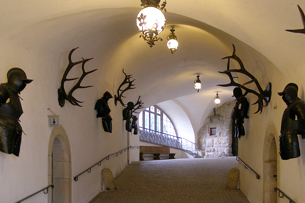 Schloss Sigmaringen (Hohenzollernschloss) im Landkreis Sigmaringen