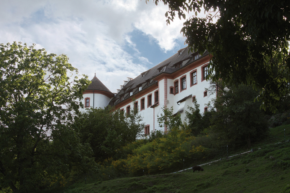 Burg Hohenfels (Hohenfels) (Schloss Hohenfels, Neu-Hohenfels) im Landkreis Konstanz