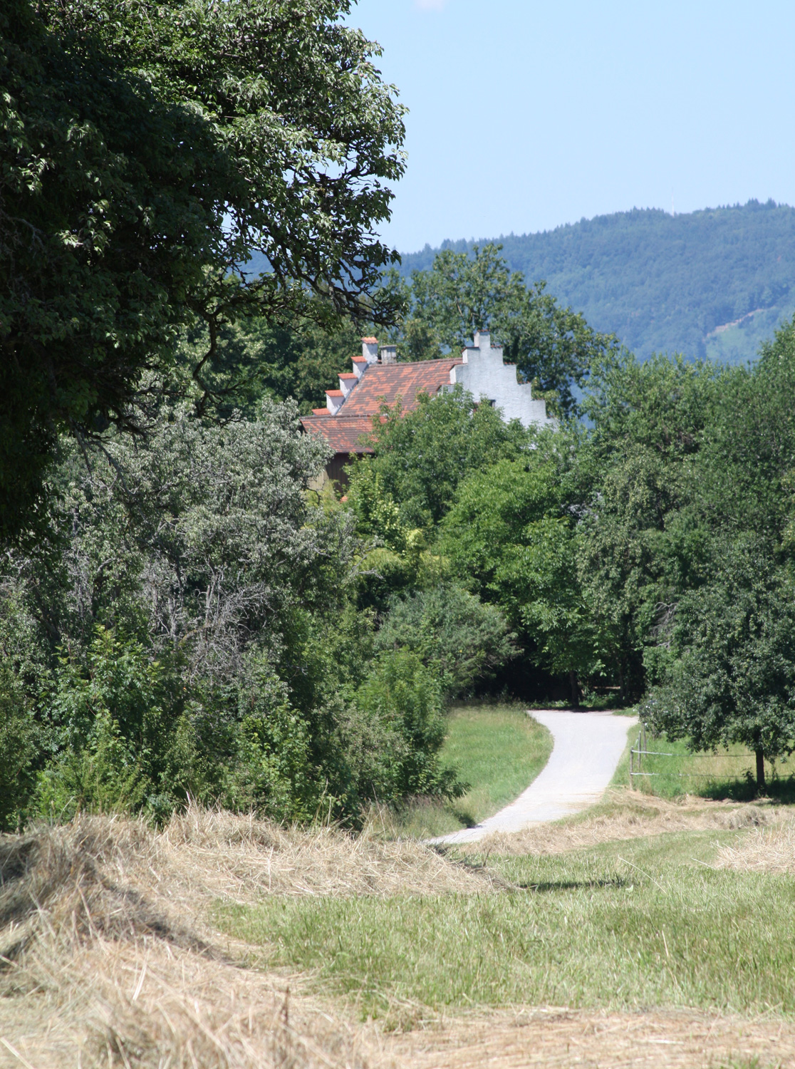Burghof Wallhausen (Burg Neu-Dettingen) im Landkreis Konstanz
