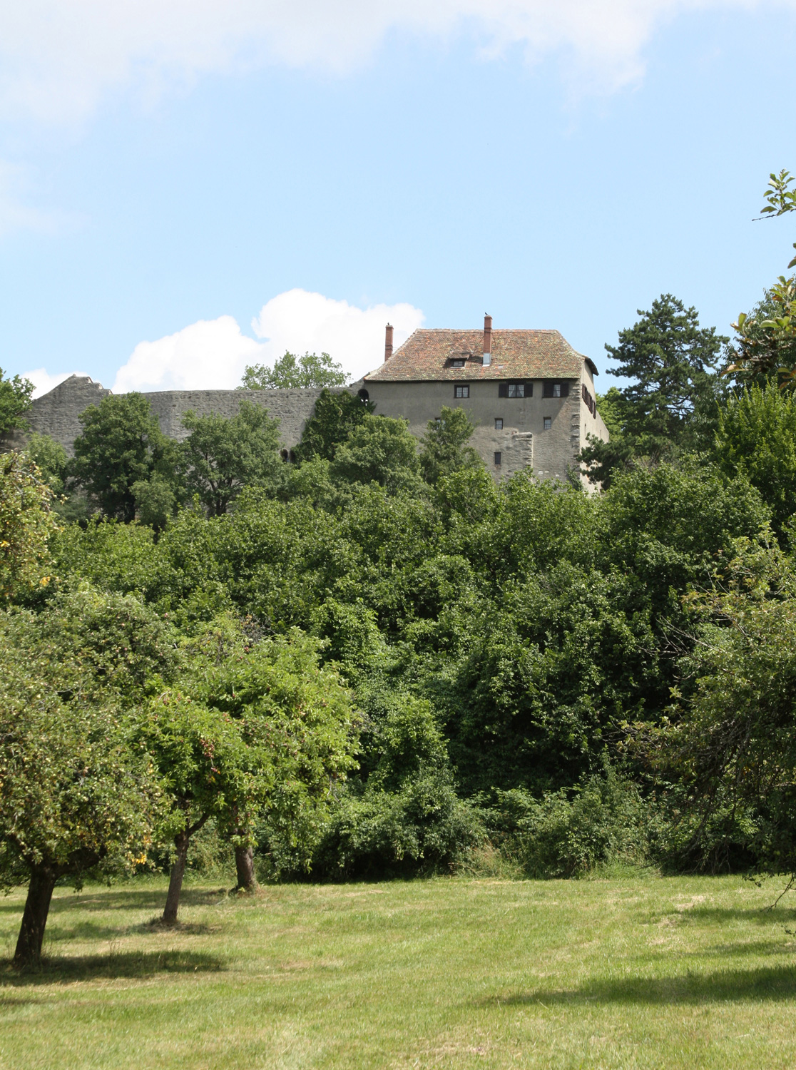 Friedinger Schlössle (Burg Hohenfriedingen, Burg Friedingen) im Landkreis Konstanz