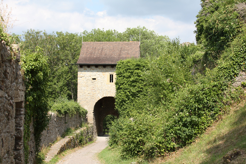Küssaburg (Schloss Küssenberg) im Landkreis Waldshut