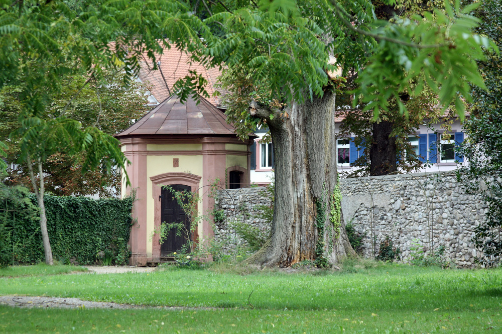 Schloss Ebnet im Landkreis Breisgau-Hochschwarzwald