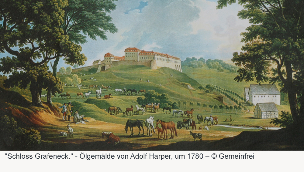 Schloss Grafeneck im Landkreis Reutlingen