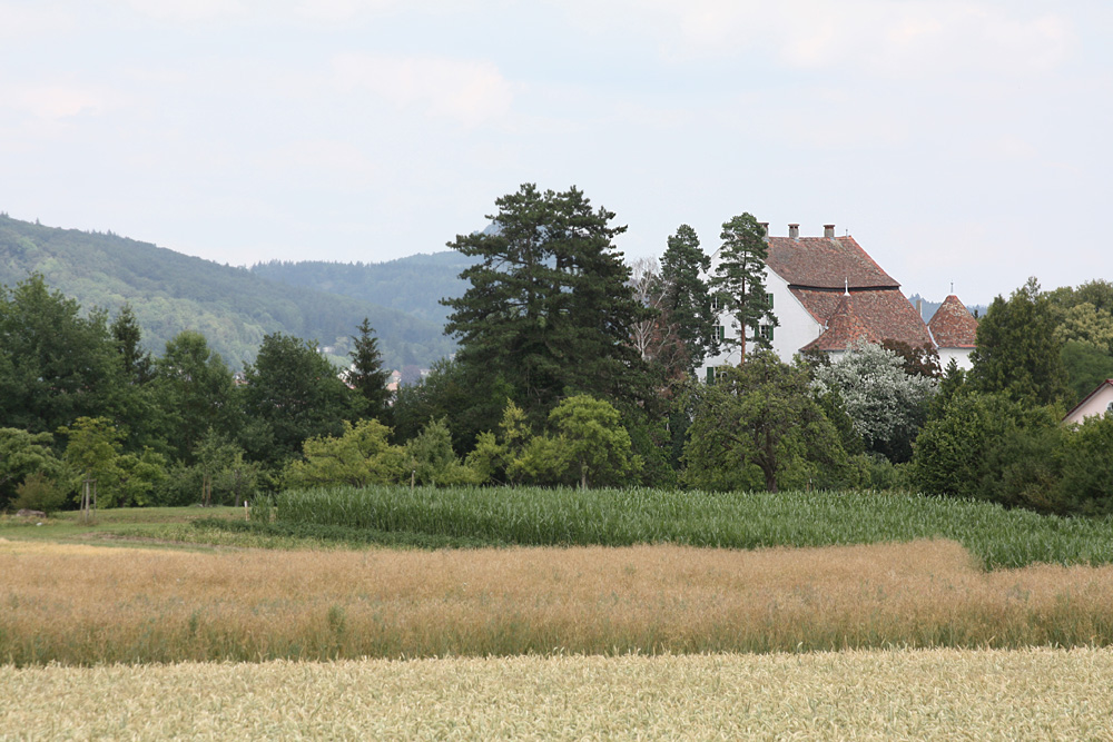 Schloss Randegg im Landkreis Konstanz