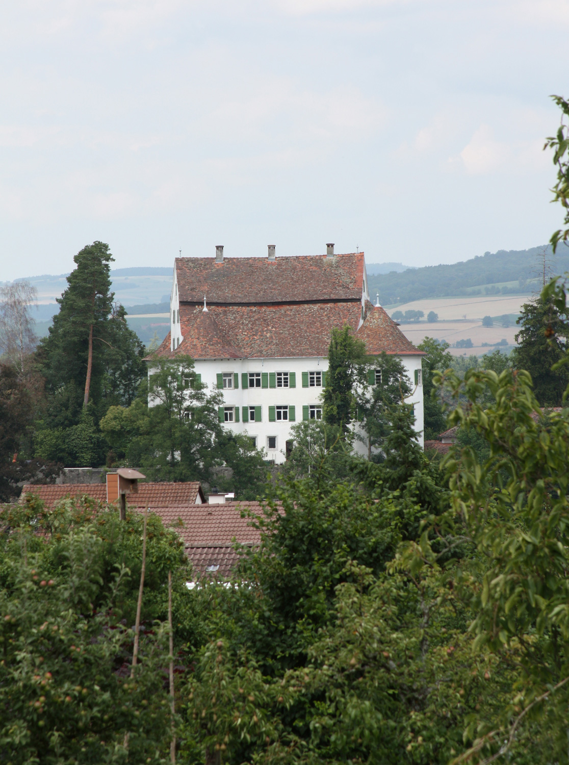 Schloss Randegg im Landkreis Konstanz