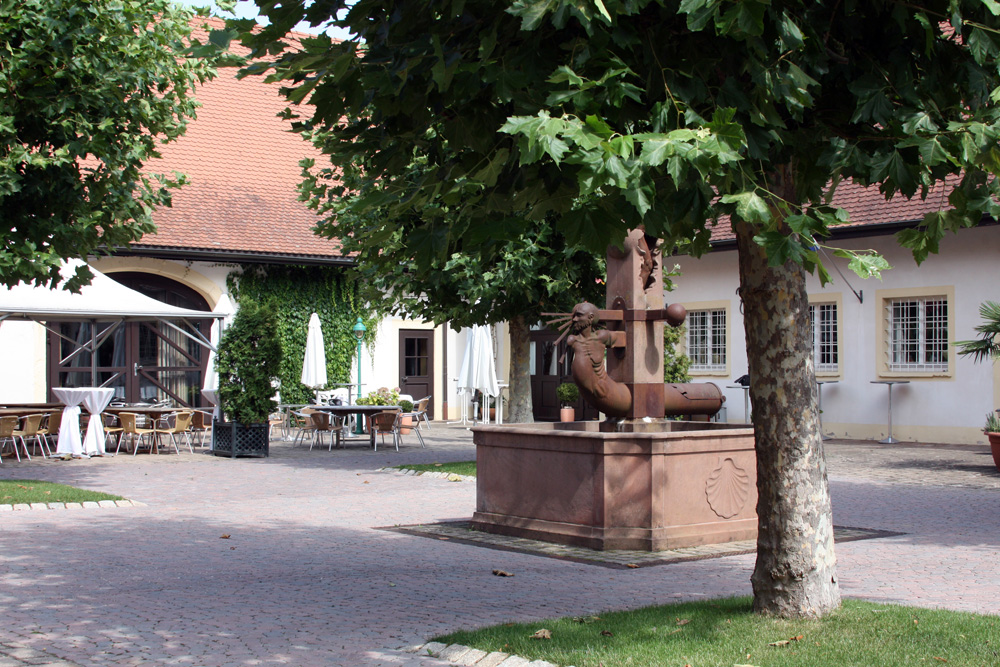 Schloss Rimsingen im Landkreis Breisgau-Hochschwarzwald