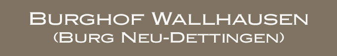 Burghof Wallhausen (Burg Neu-Dettingen) im Landkreis Konstanz