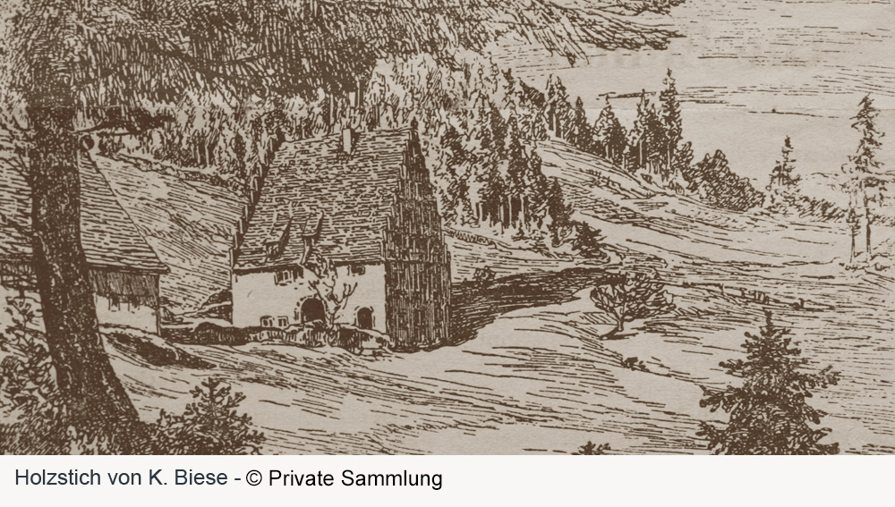 Bärenschlössle (Freudenstadt) im Landkreis Freudenstadt