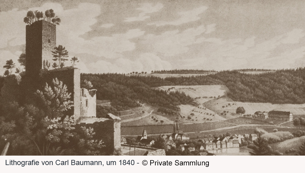 Burg Liebenzell im Landkreis Calw