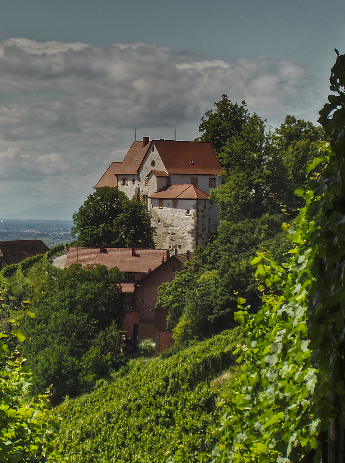 Burg Staufenberg (Schwarzwald) (Staufenburg, Stauffenberg) im Ortenaukreis