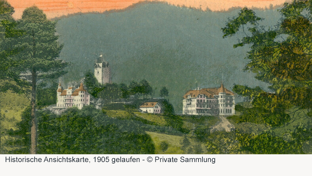 Schloss Hornberg (Schwarzwald) (Schloss Neu-Hornberg) im Ortenaukreis