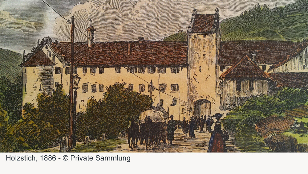 Schloss Wolfach (Fürstenbergisches Schloss) im Ortenaukreis