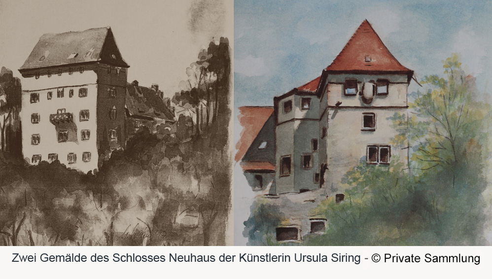 Schloss Neuburg (Hohinrot, Hohinburg, Hohonrot, Mettlenburg) (Baden) im Neckar-Odenwald-Kreis
