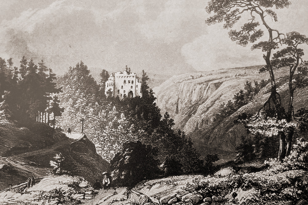 Burg Boll (Neu-Tannegg, Neutannegg) im Landkreis Waldshut