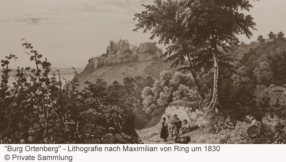Schloss Ortenberg (Baden) im Ortenaukreis