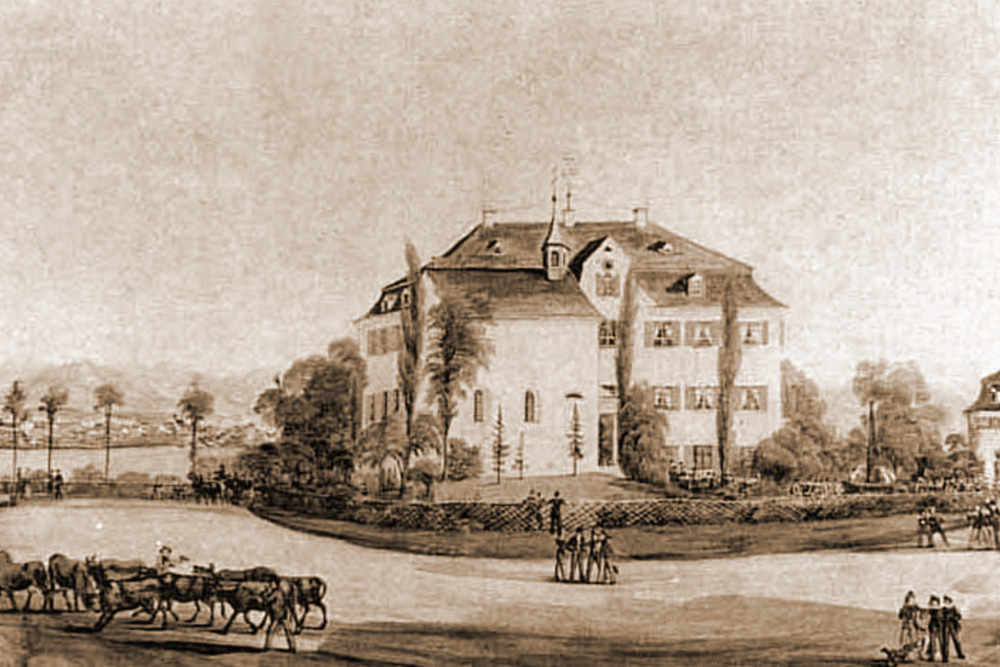 Schloss Schlatt unter Krähen im Landkreis Konstanz