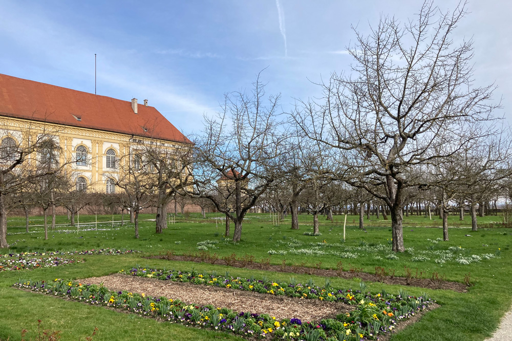 Schloss Dachau im Landkreis Dachau