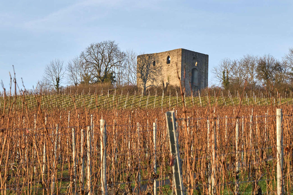 Burgruine Helfenberg im Landkreis Heilbronn
