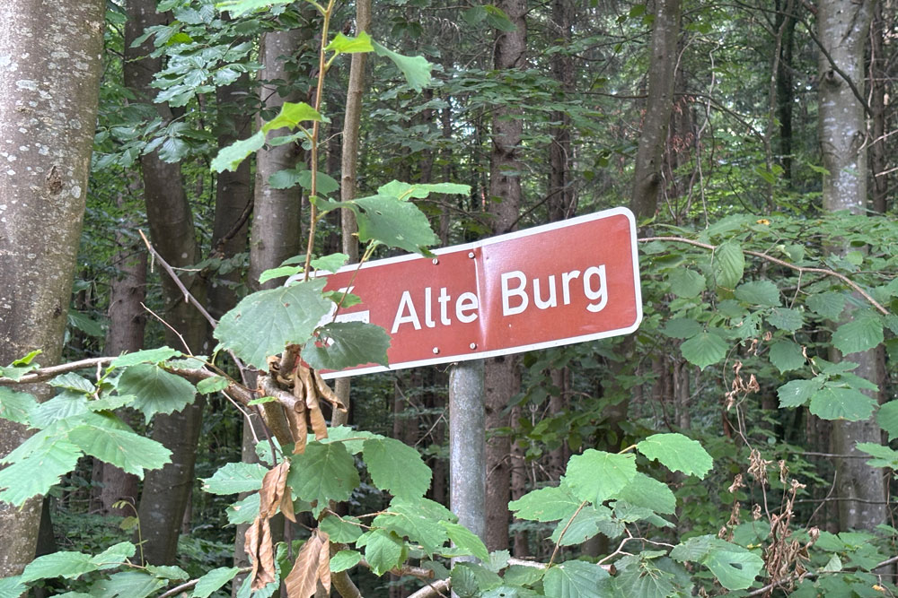 Alte Burg (Oberhausen) (Neuburg an der Donau) im Landkreis Neuburg-Schrobenhausen