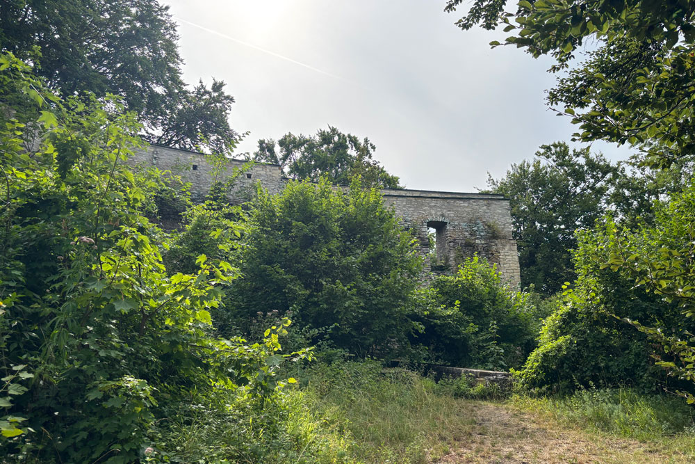 Alte Burg (Oberhausen) (Neuburg an der Donau) im Landkreis Neuburg-Schrobenhausen